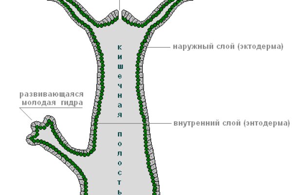 Зеркало омг омг рабочее